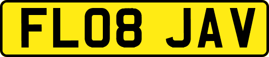 FL08JAV
