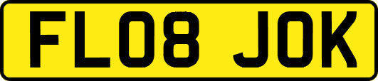 FL08JOK