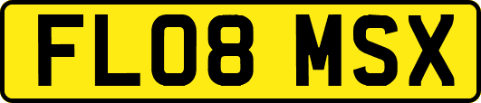 FL08MSX