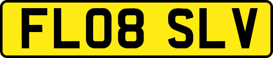 FL08SLV