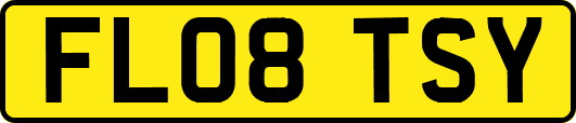 FL08TSY
