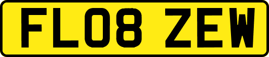 FL08ZEW