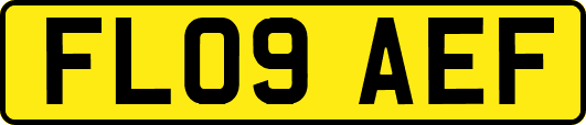 FL09AEF