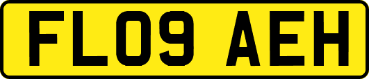 FL09AEH