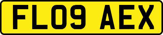 FL09AEX