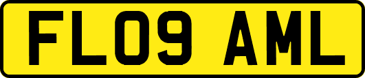 FL09AML