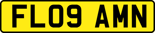 FL09AMN