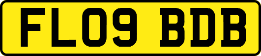 FL09BDB
