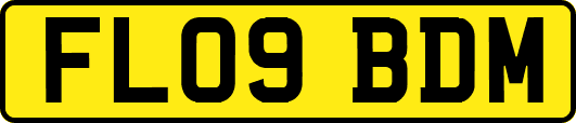FL09BDM