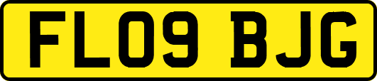 FL09BJG
