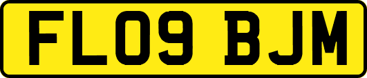 FL09BJM