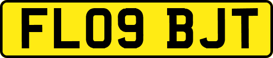 FL09BJT