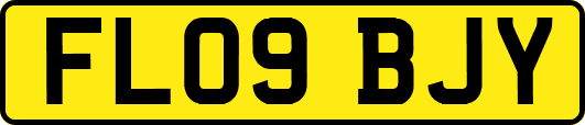 FL09BJY