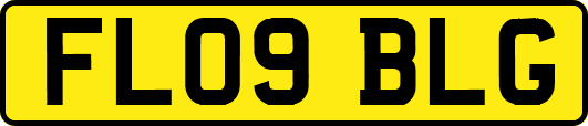 FL09BLG