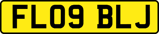 FL09BLJ