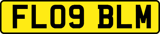 FL09BLM
