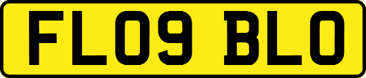 FL09BLO
