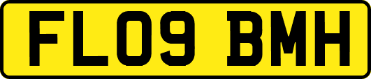 FL09BMH