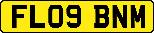 FL09BNM