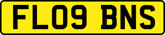 FL09BNS