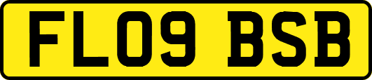 FL09BSB