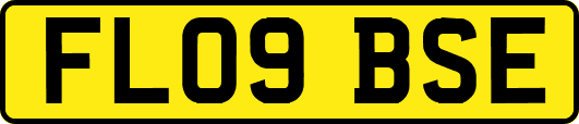 FL09BSE
