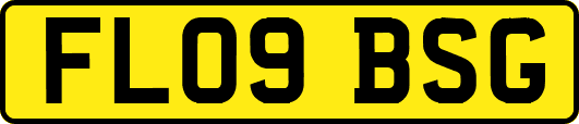 FL09BSG
