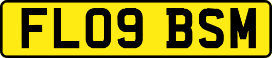 FL09BSM