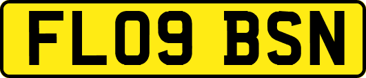 FL09BSN