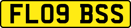 FL09BSS