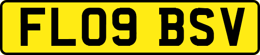 FL09BSV