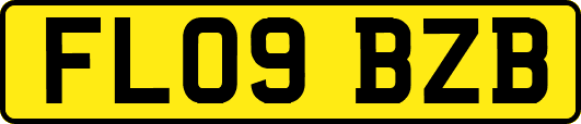 FL09BZB