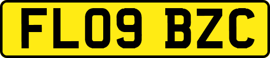 FL09BZC