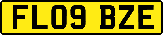 FL09BZE