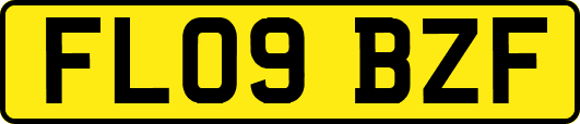 FL09BZF