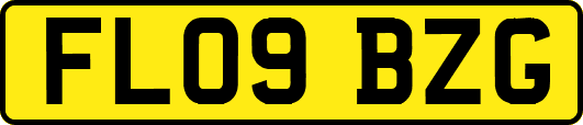 FL09BZG