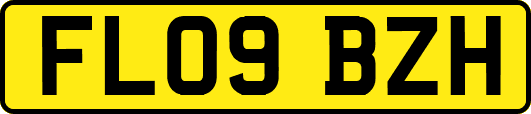 FL09BZH