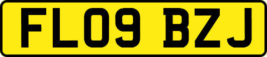 FL09BZJ