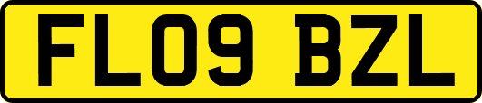 FL09BZL