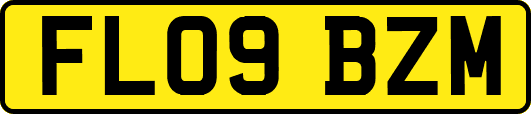 FL09BZM