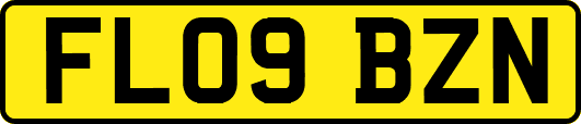 FL09BZN