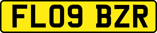 FL09BZR