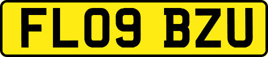 FL09BZU