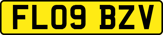FL09BZV