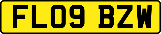 FL09BZW