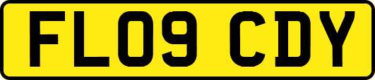 FL09CDY