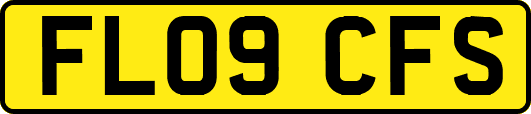 FL09CFS