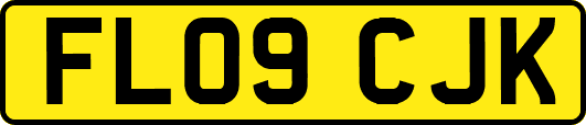 FL09CJK