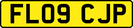 FL09CJP