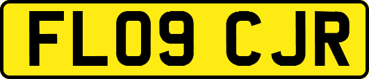 FL09CJR